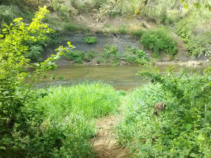 Waters Edge RV Park Picture 4