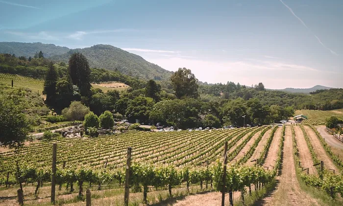 Green Haven RV Park Picture 9