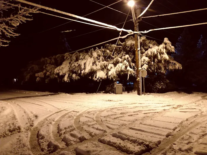 Green Haven RV Park Picture 15