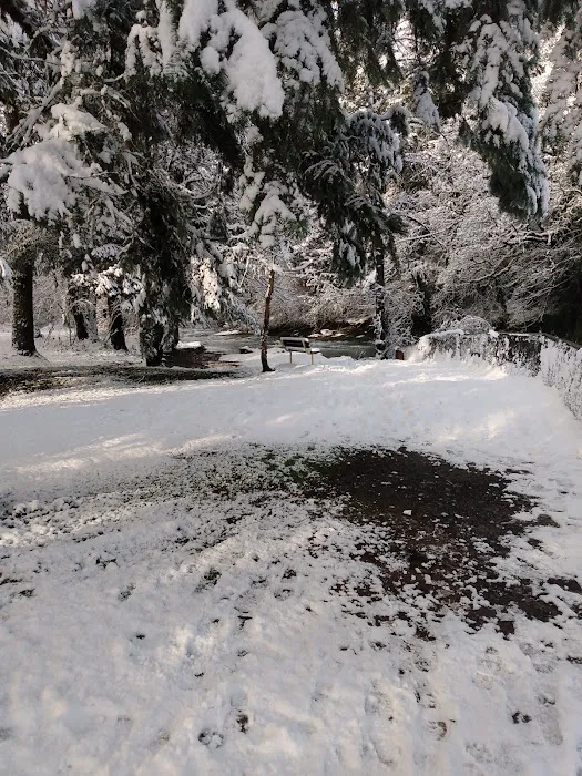 Green Haven RV Park Picture 14