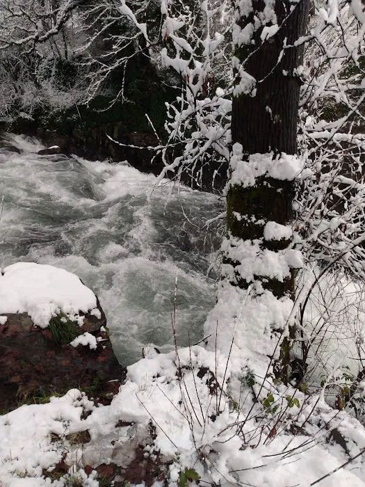 Green Haven RV Park Picture 16