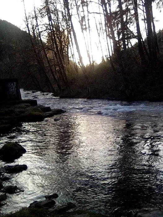 Green Haven RV Park Picture 10