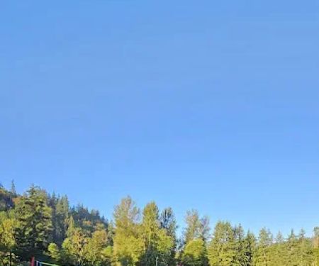 VFW Post 969 Recreation Park