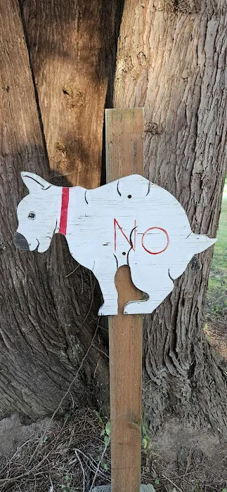 VFW Post 969 Recreation Park Picture 4