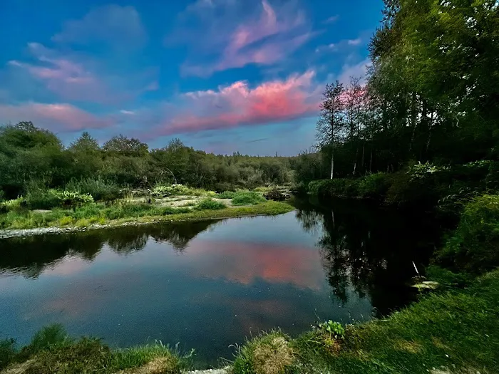 VFW Post 969 Recreation Park Picture 5