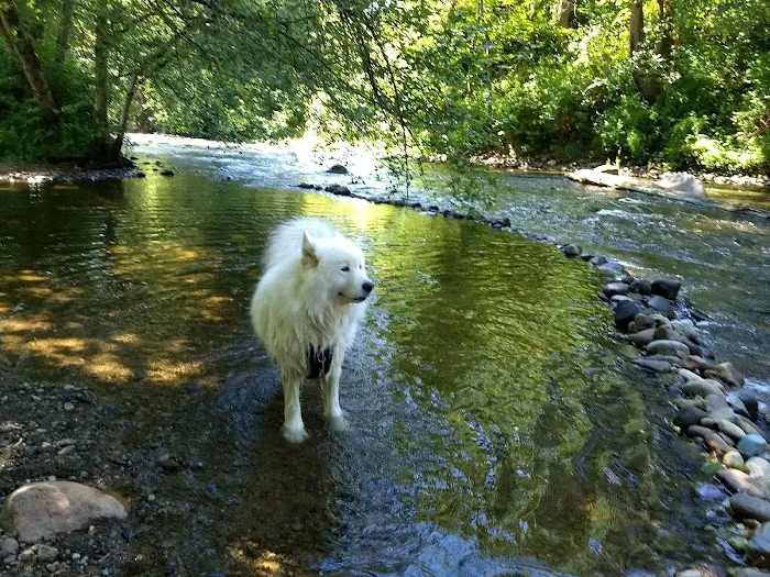 South Prairie Creek RV Resort, Convenience Store & Market Picture 1