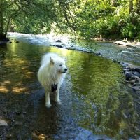 South Prairie Creek RV Resort, Convenience Store & Market ico