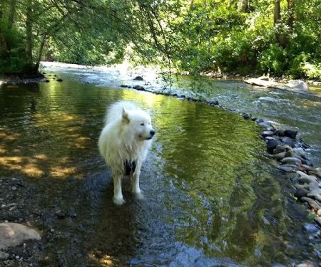 South Prairie Creek RV Resort, Convenience Store & Market