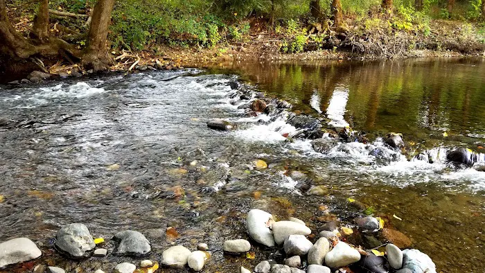 South Prairie Creek RV Resort, Convenience Store & Market Picture 6