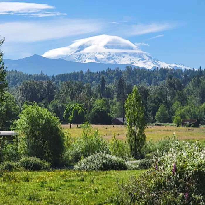 South Prairie Creek RV Resort, Convenience Store & Market Picture 8