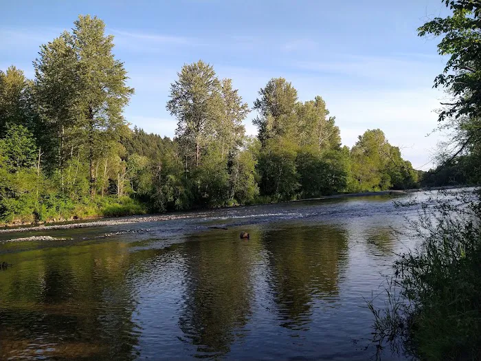 Dan and Bill's RV Park Picture 9