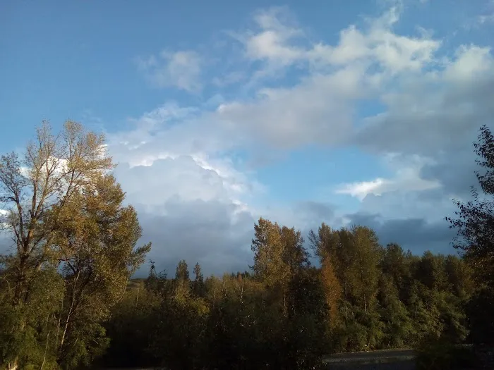 Dan and Bill's RV Park Picture 8