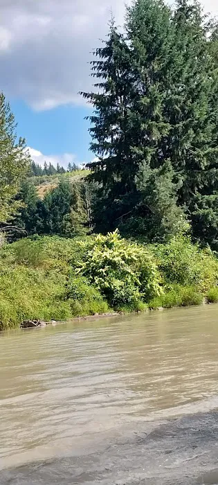 Dan and Bill's RV Park Picture 7