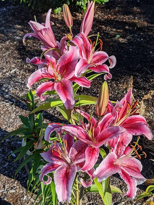 Woodside Manor RV Park Picture 10