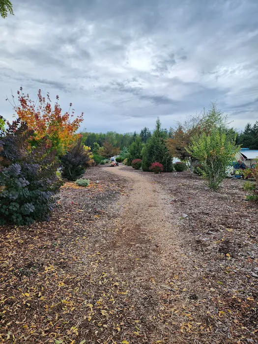 Woodside Manor RV Park Picture 9