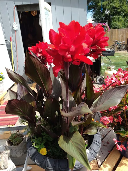 Woodside Manor RV Park Picture 3