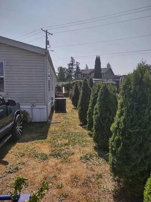 Firwood RV Picture 7