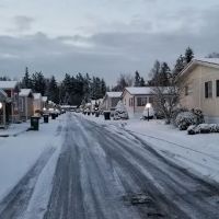 Franklin Pierce Estates ico