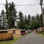 Northwest Community LLC