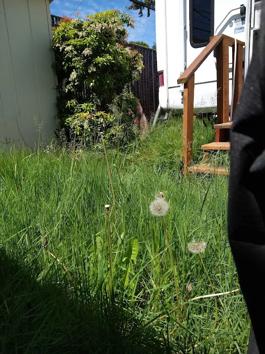 Oaknoll Trailer Park Picture 9