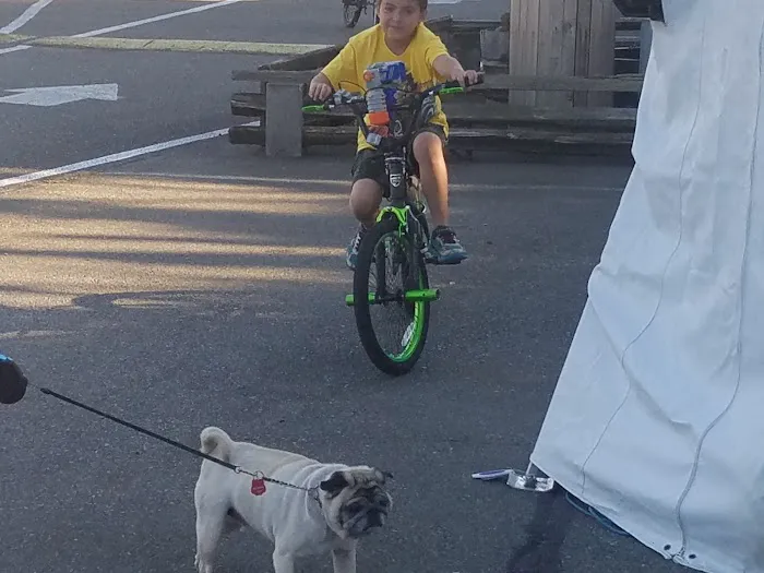 Oaknoll Trailer Park Picture 1