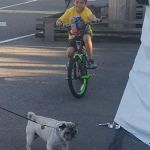 Oaknoll Trailer Park