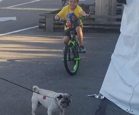 Oaknoll Trailer Park