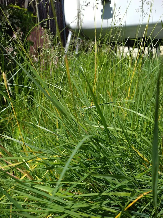 Oaknoll Trailer Park Picture 7