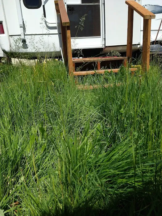 Oaknoll Trailer Park Picture 10