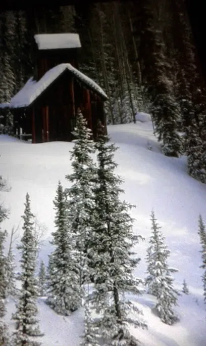 Mobile Manor Picture 2