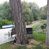 Oak View Terrace ico