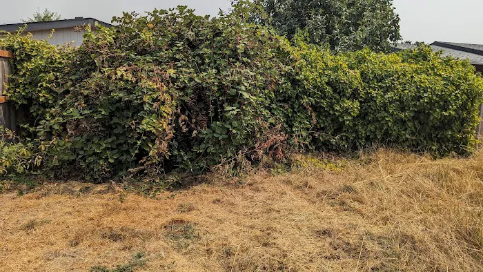 Oak View Terrace Picture 6