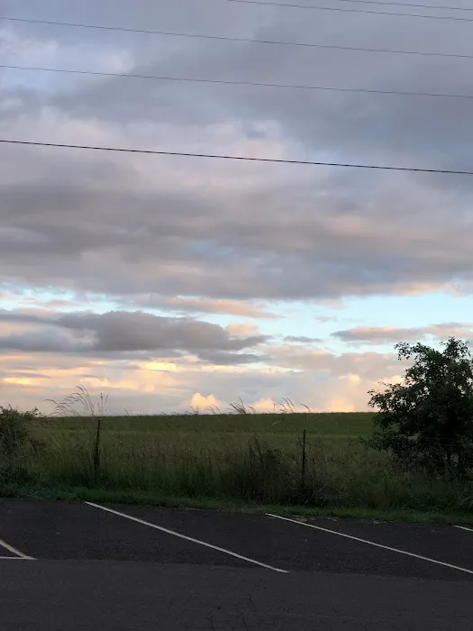 Knoll Terrace Picture 5