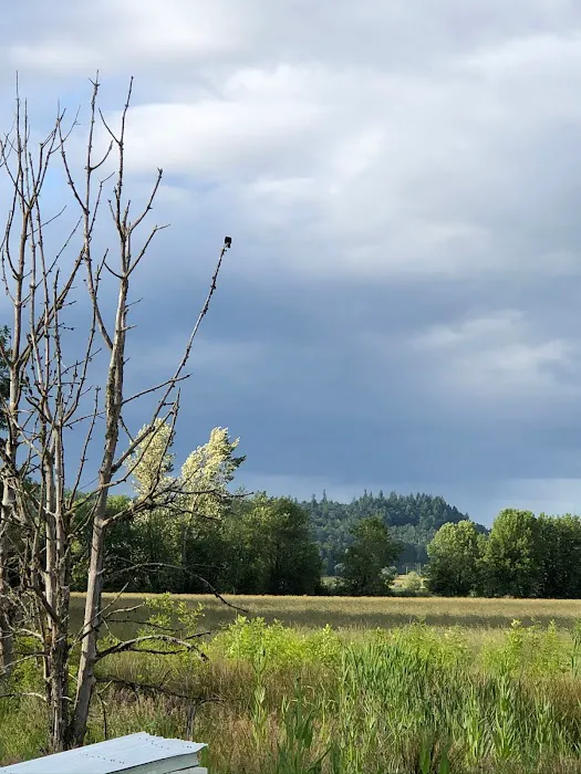 Knoll Terrace Picture 3