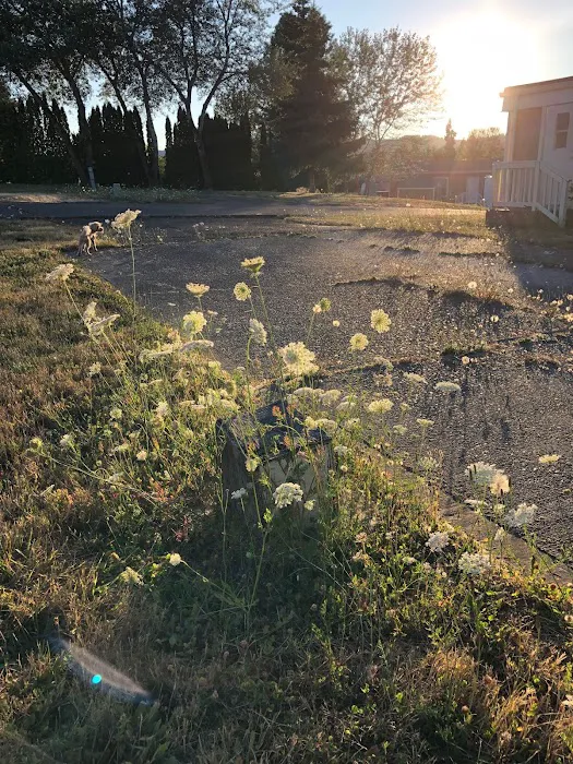 Knoll Terrace Picture 7