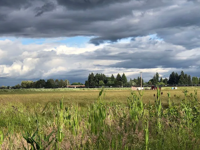 Knoll Terrace Picture 4