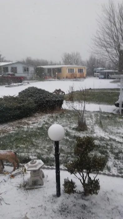 Meadow Park Mobile Estates Picture 5