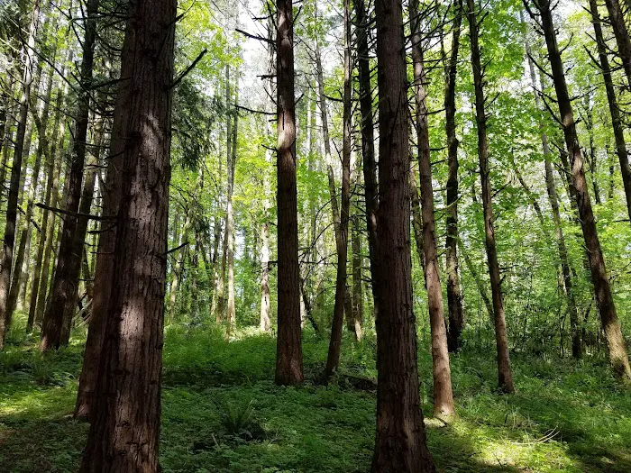 Meadow Park Mobile Estates Picture 9