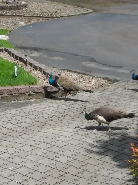 Meadow Park Mobile Estates Picture 7