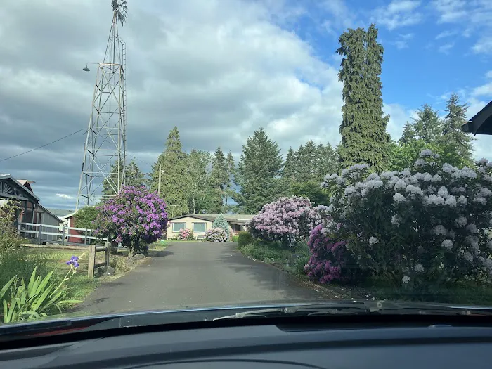 Whispering Pines Mobile Lodge Picture 5