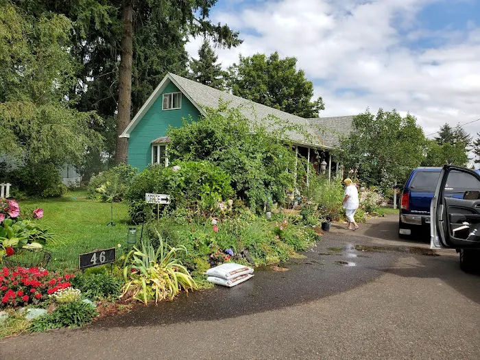 Whispering Pines Mobile Lodge Picture 3