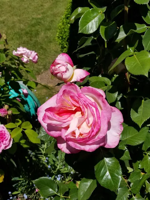 North Star Manufactured Comm Picture 3