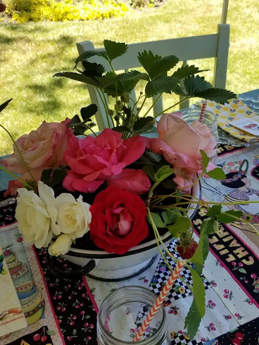 North Star Manufactured Comm Picture 5