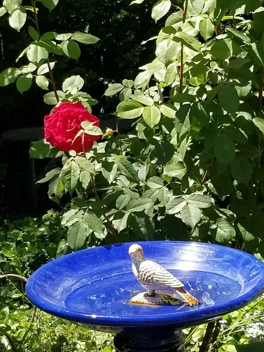 North Star Manufactured Comm Picture 10