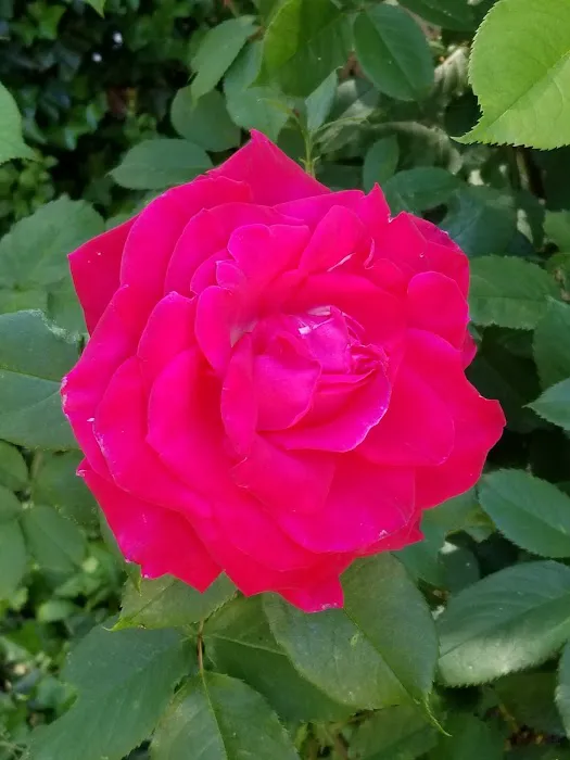 North Star Manufactured Comm Picture 7