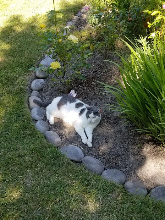 North Star Manufactured Comm Picture 6