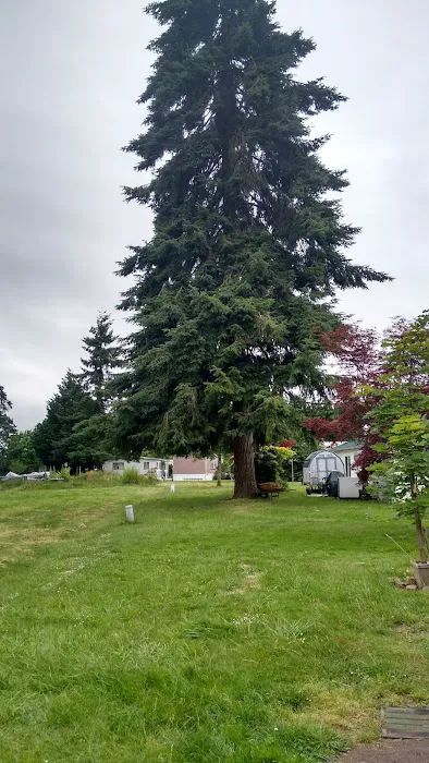 Oakvilla | Mobile Home Park Picture 3