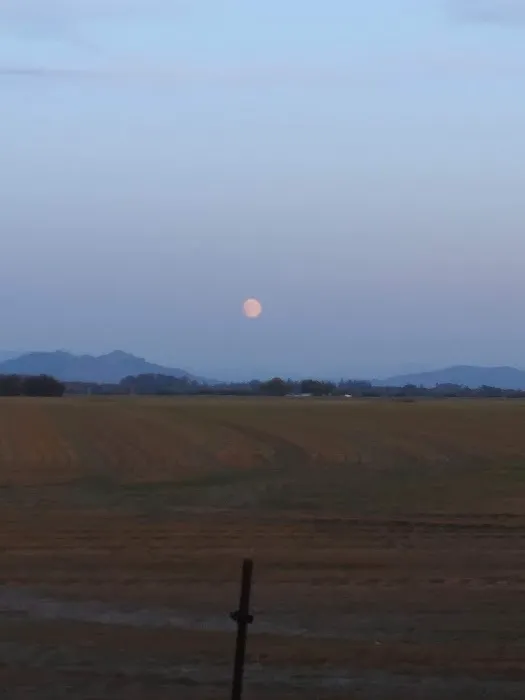 Oakvilla | Mobile Home Park Picture 2