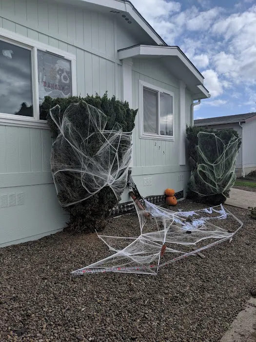 Santiam Village North Picture 2