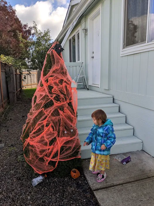 Santiam Village North Picture 3